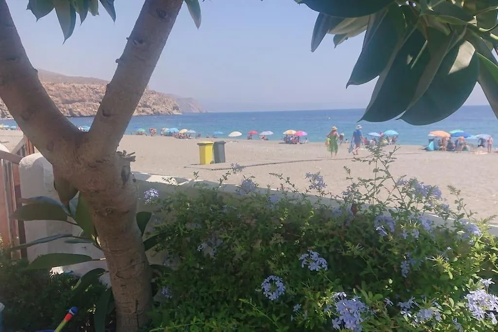 Chalet Con Jardin En Playa De Calahonda, Granada Holiday home Calahonda